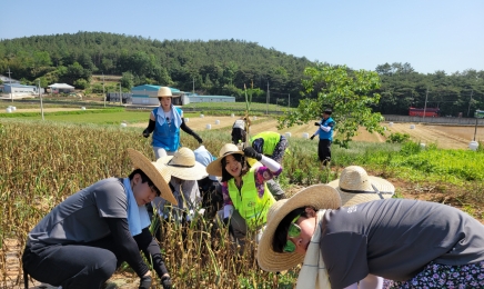 전남농협-광주대학교 영농지원 봉사활동 펼쳐