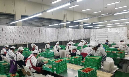 담양 딸기, 아시아 전역으로 수출길 넓힌다