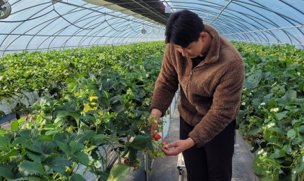 전남도, 친환경농산물 계약재배 청년농가 육성 박차