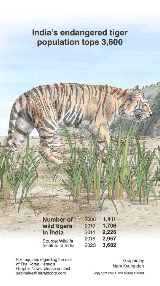 Endangered tiger population in ground-breaking population modelling study