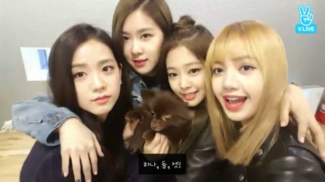 [V Report] Black Pink introduces group’s puppy Kuma to fans